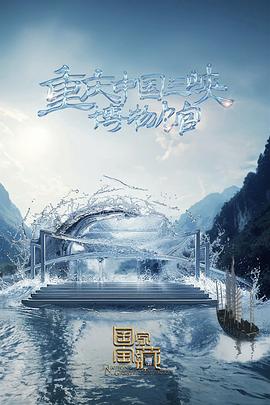 荆州慧抖销seo优化